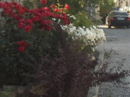 Гостиница Гостевой дом Эндрю Судак-8